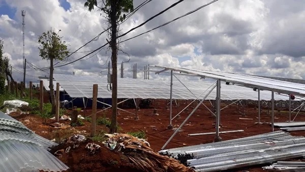 ton-nhưa-lay-sang-3