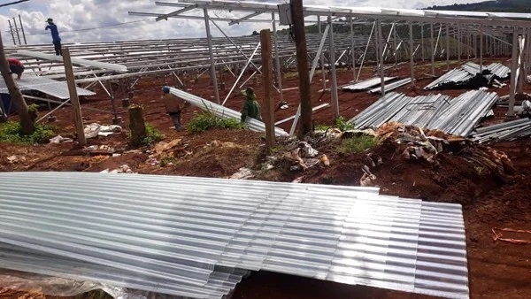 ton-nhưa-lay-sang-4