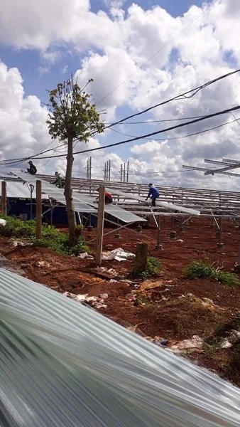 ton-nhưa-lay-sang-5